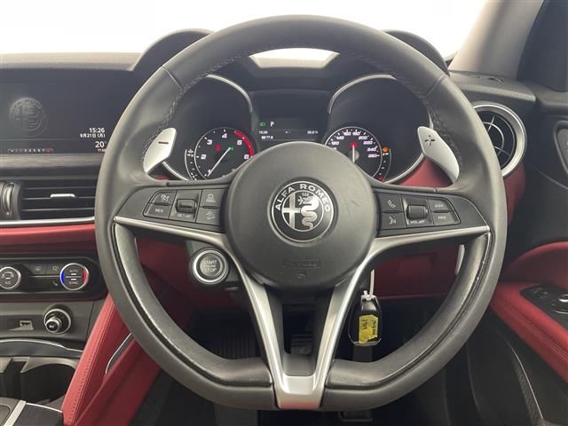 2019 ALFA Romeo STELVIO 照片 6