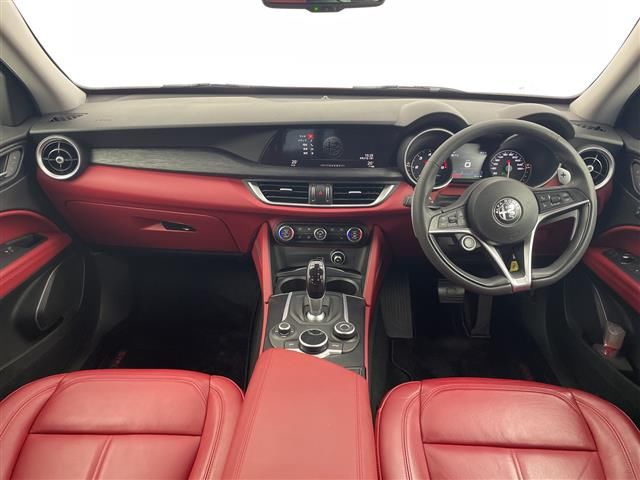 2019 ALFA Romeo STELVIO 照片 5