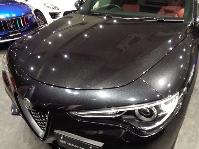 2021 ALFA Romeo STELVIO — миниатюра 5