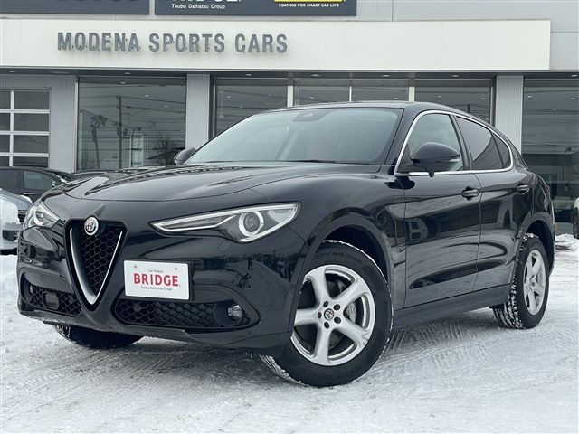 2020 ALFA Romeo STELVIO 照片 1
