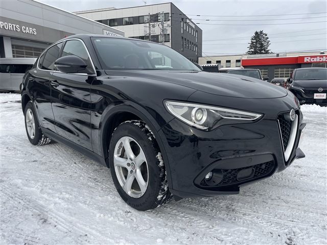 2020 ALFA Romeo STELVIO 照片 10