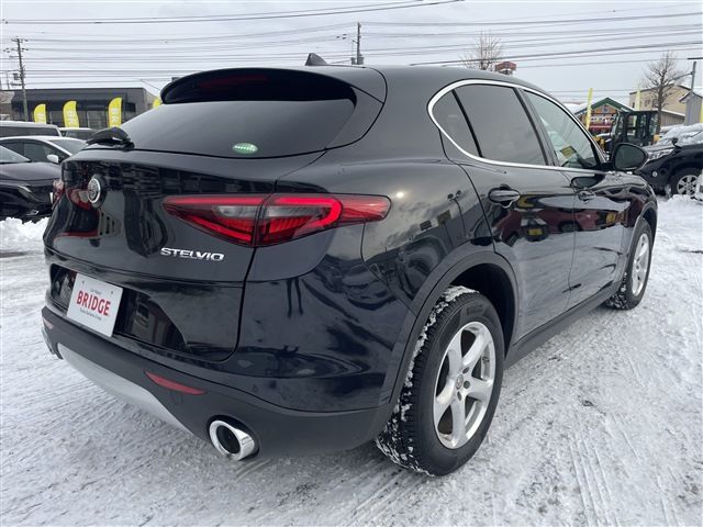 2020 ALFA Romeo STELVIO 照片 8