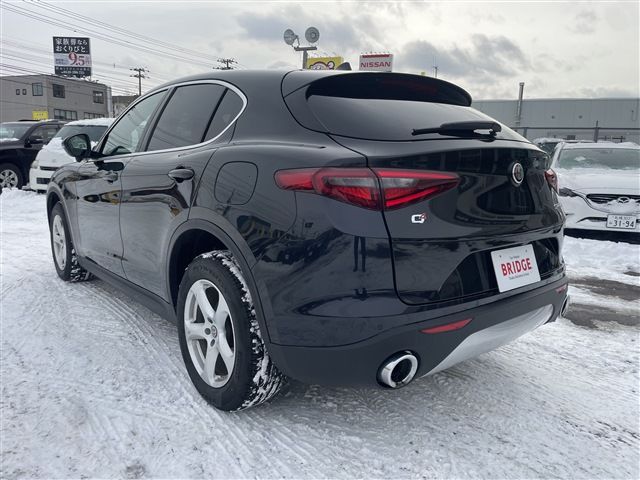 2020 ALFA Romeo STELVIO 照片 6