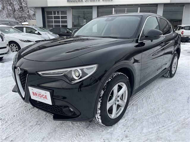 2020 ALFA Romeo STELVIO 照片 4