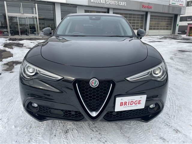 2020 ALFA Romeo STELVIO 照片 3