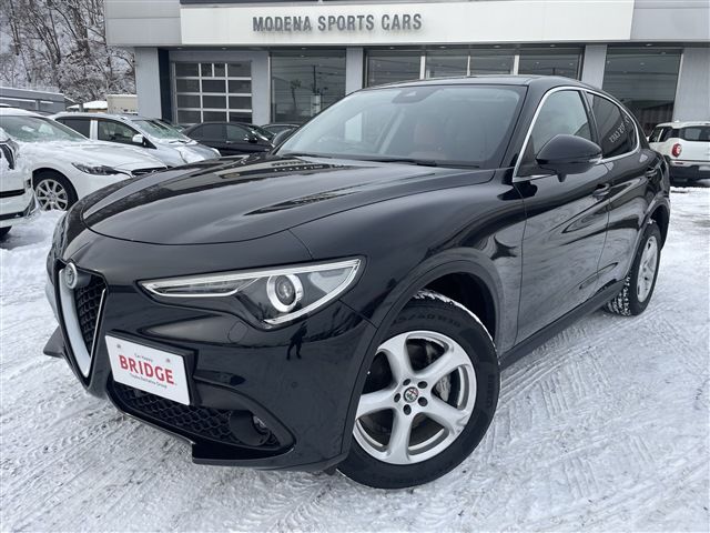 2020 ALFA Romeo STELVIO 照片 2