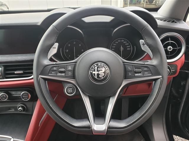 2019 ALFA Romeo STELVIO 缩略图 16
