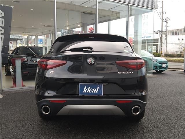 2019 ALFA Romeo STELVIO 照片 6