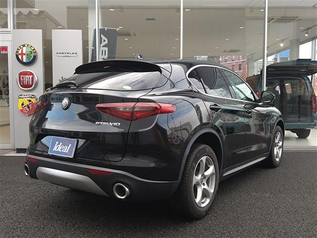 2019 ALFA Romeo STELVIO 照片 5