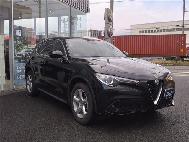 2019 ALFA Romeo STELVIO 照片 3