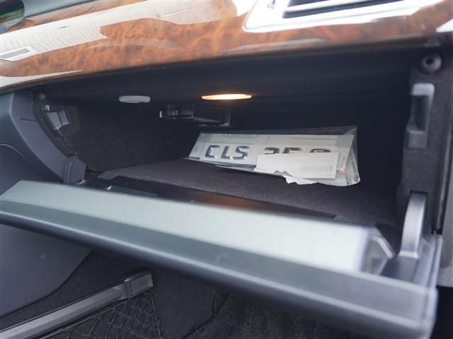 2011 Mercedes-BENZ CLS — миниатюра 13