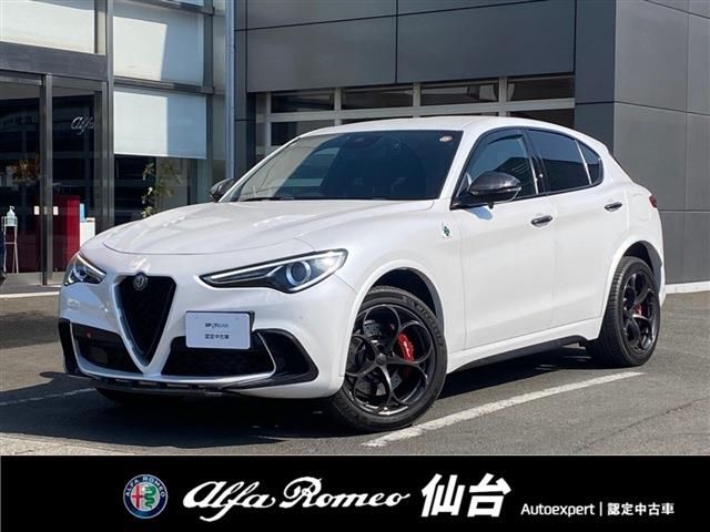 2020 ALFA Romeo STELVIO 照片 1