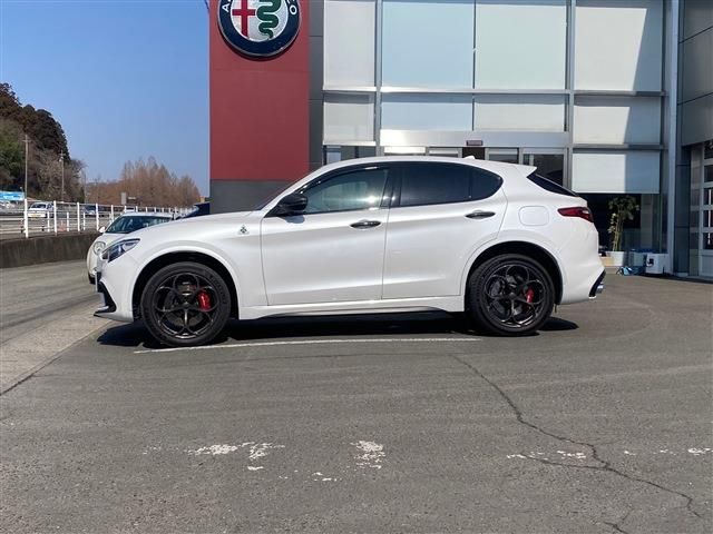2020 ALFA Romeo STELVIO 照片 8