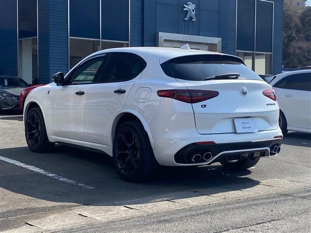 2020 ALFA Romeo STELVIO 照片 7