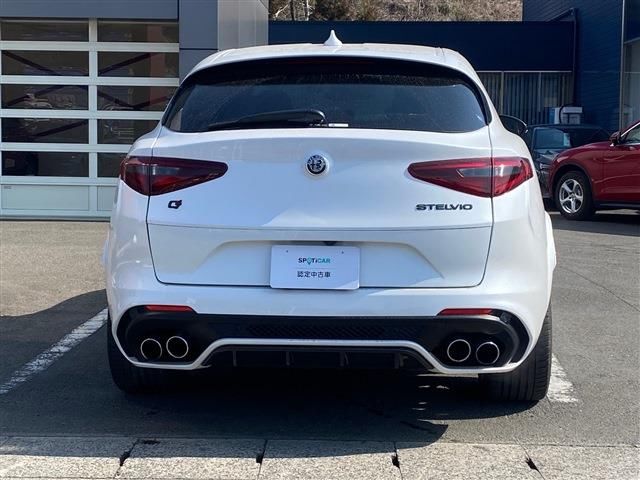 2020 ALFA Romeo STELVIO 照片 6