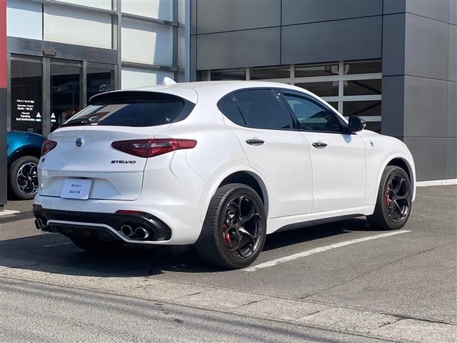 2020 ALFA Romeo STELVIO 照片 5