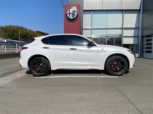 2020 ALFA Romeo STELVIO 照片 4
