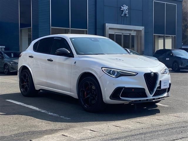 2020 ALFA Romeo STELVIO 照片 3