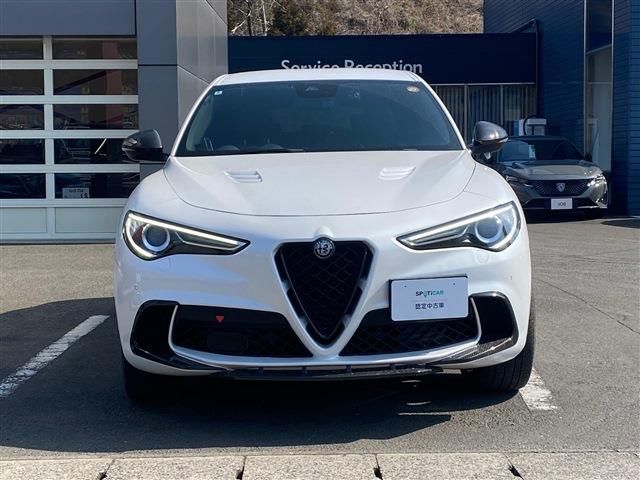 2020 ALFA Romeo STELVIO 照片 2