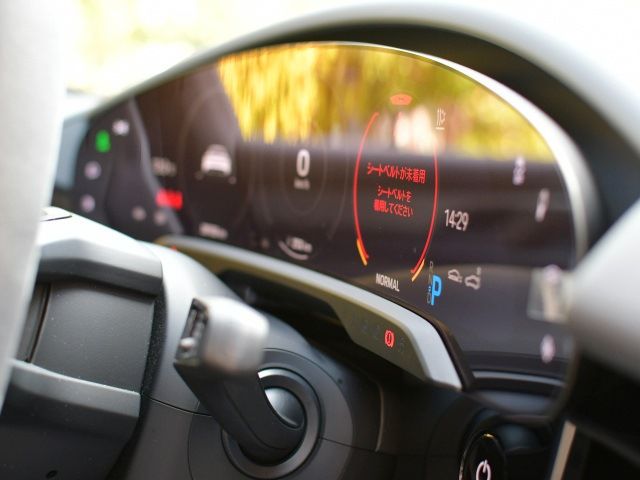 2021 Porsche TAYCAN 缩略图 23