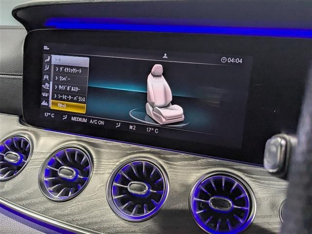صورة مصغرة 12 لـ 2019 Mercedes-BENZ GT AMG