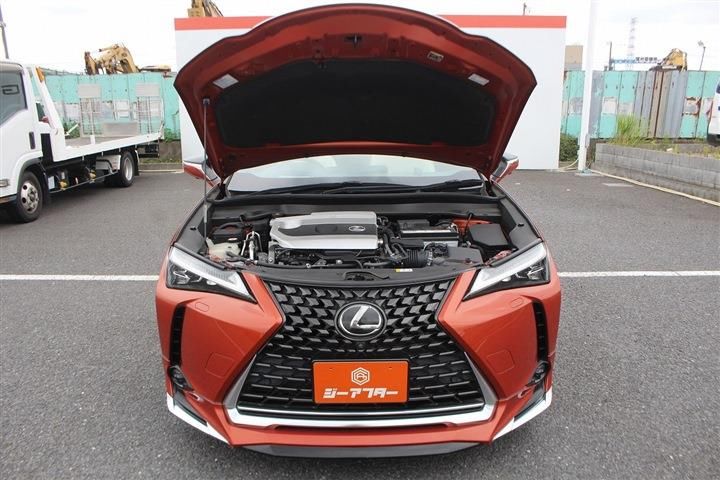 صورة مصغرة 30 لـ 2018 Lexus UX