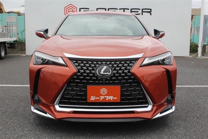 صورة 8 لـ 2018 Lexus UX