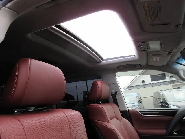 صورة 10 لـ 2016 Lexus LX