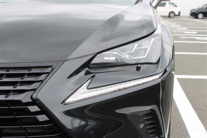 صورة 16 لـ 2019 Lexus NX