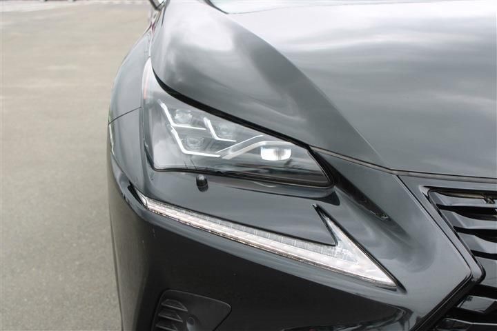 صورة مصغرة 18 لـ 2019 Lexus NX