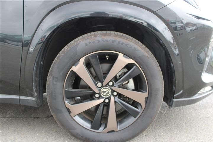 صورة مصغرة 20 لـ 2019 Lexus NX