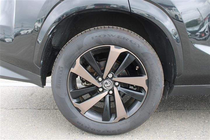 صورة مصغرة 21 لـ 2019 Lexus NX