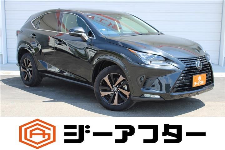 صورة 1 لـ 2019 Lexus NX