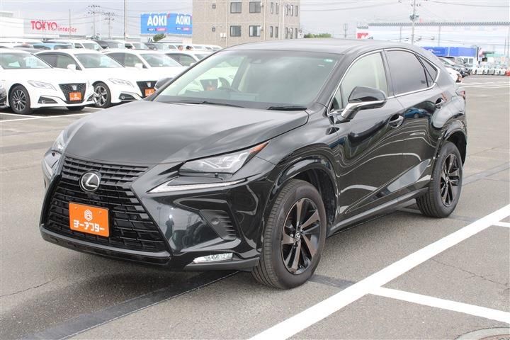 صورة 15 لـ 2019 Lexus NX
