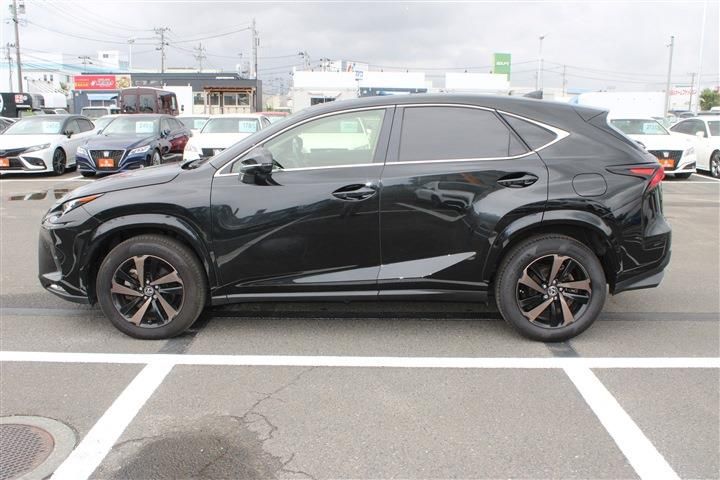 صورة 14 لـ 2019 Lexus NX