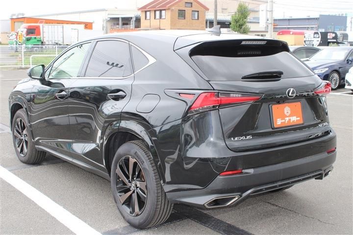 صورة 13 لـ 2019 Lexus NX