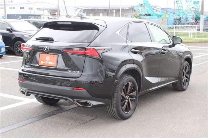 صورة 11 لـ 2019 Lexus NX