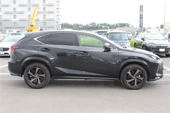 صورة 10 لـ 2019 Lexus NX