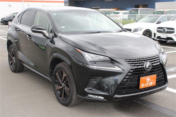صورة 9 لـ 2019 Lexus NX