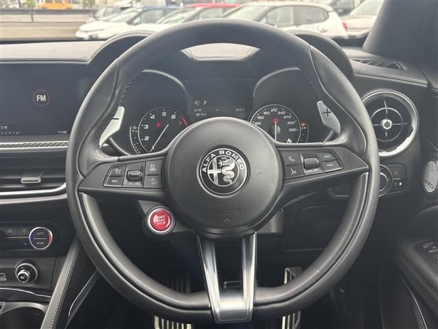 2019 ALFA Romeo STELVIO — миниатюра 17