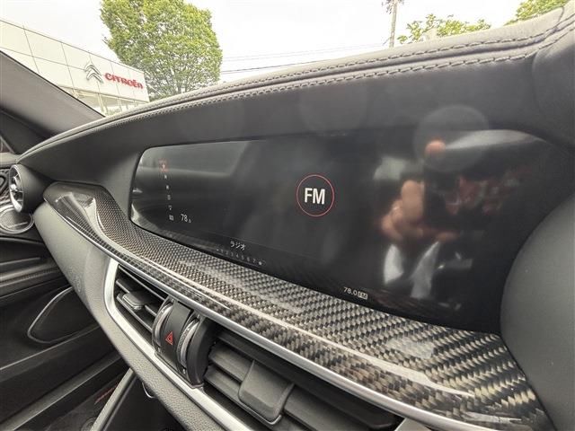 2019 ALFA Romeo STELVIO — миниатюра 18