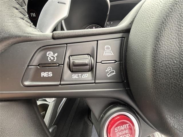 2019 ALFA Romeo STELVIO — миниатюра 21
