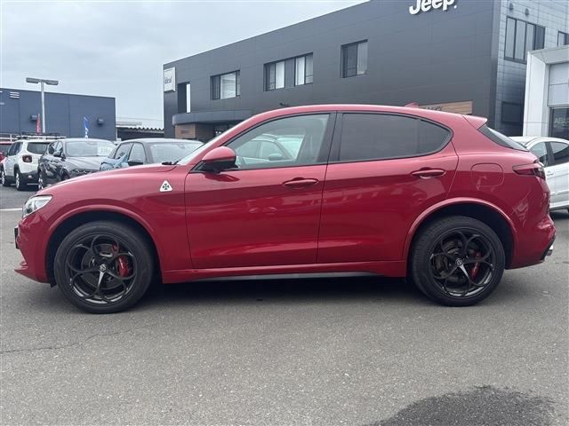 2019 ALFA Romeo STELVIO 照片 8