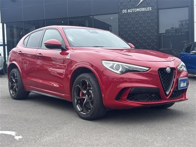 2019 ALFA Romeo STELVIO 照片 3