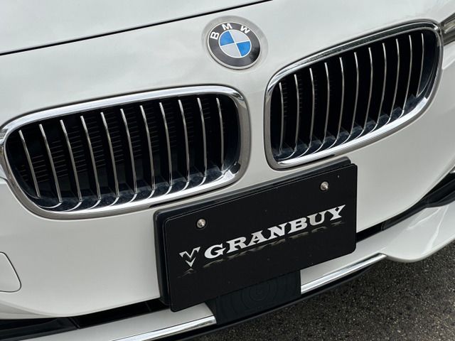 2015 BMW 3 SERIES 缩略图 48