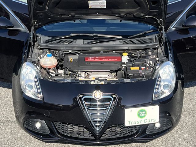 2013 ALFA Romeo GIULIETTA 缩略图 18