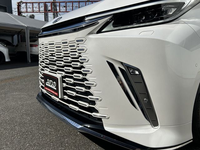 2024 Lexus LM photo 3