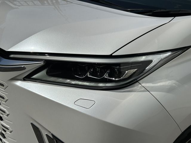 صورة مصغرة 48 لـ 2024 Lexus LM