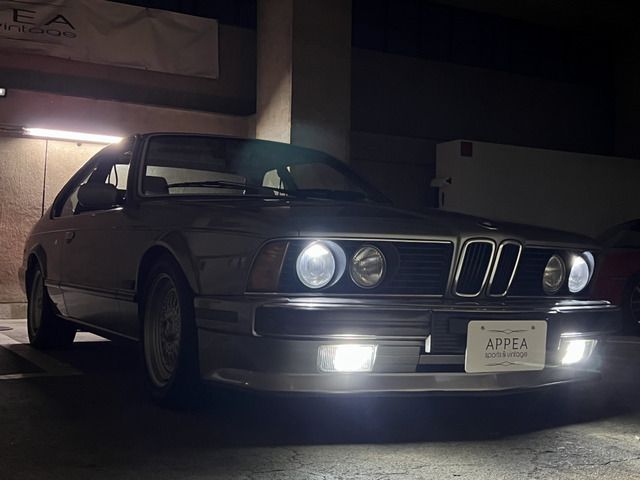 1989 BMW 6 SERIES 缩略图 21