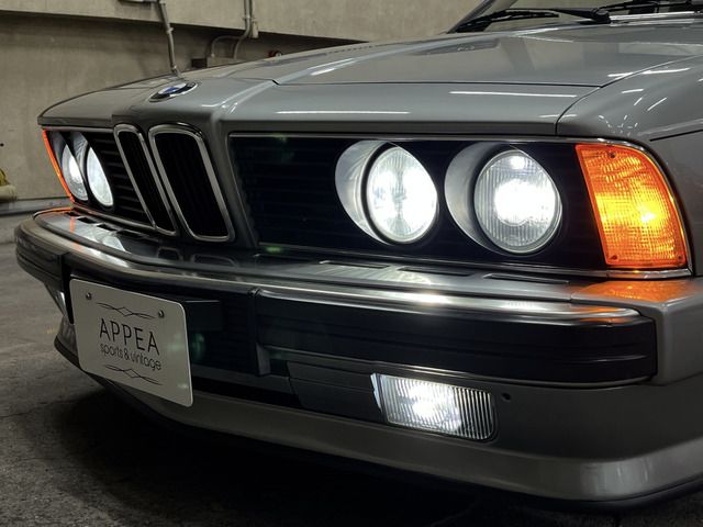 1989 BMW 6 SERIES 缩略图 16